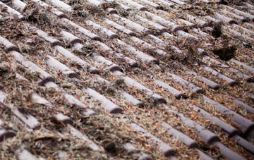 Cobbs roof cleaning companies